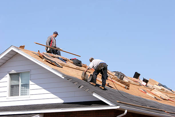 Best Roof Insulation Installation  in Lakewood, SC